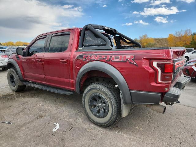 Ford F-150 Raptor Image 3