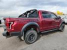 Ford F-150 Raptor Image 2