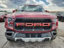 Ford F-150 Raptor Image 12