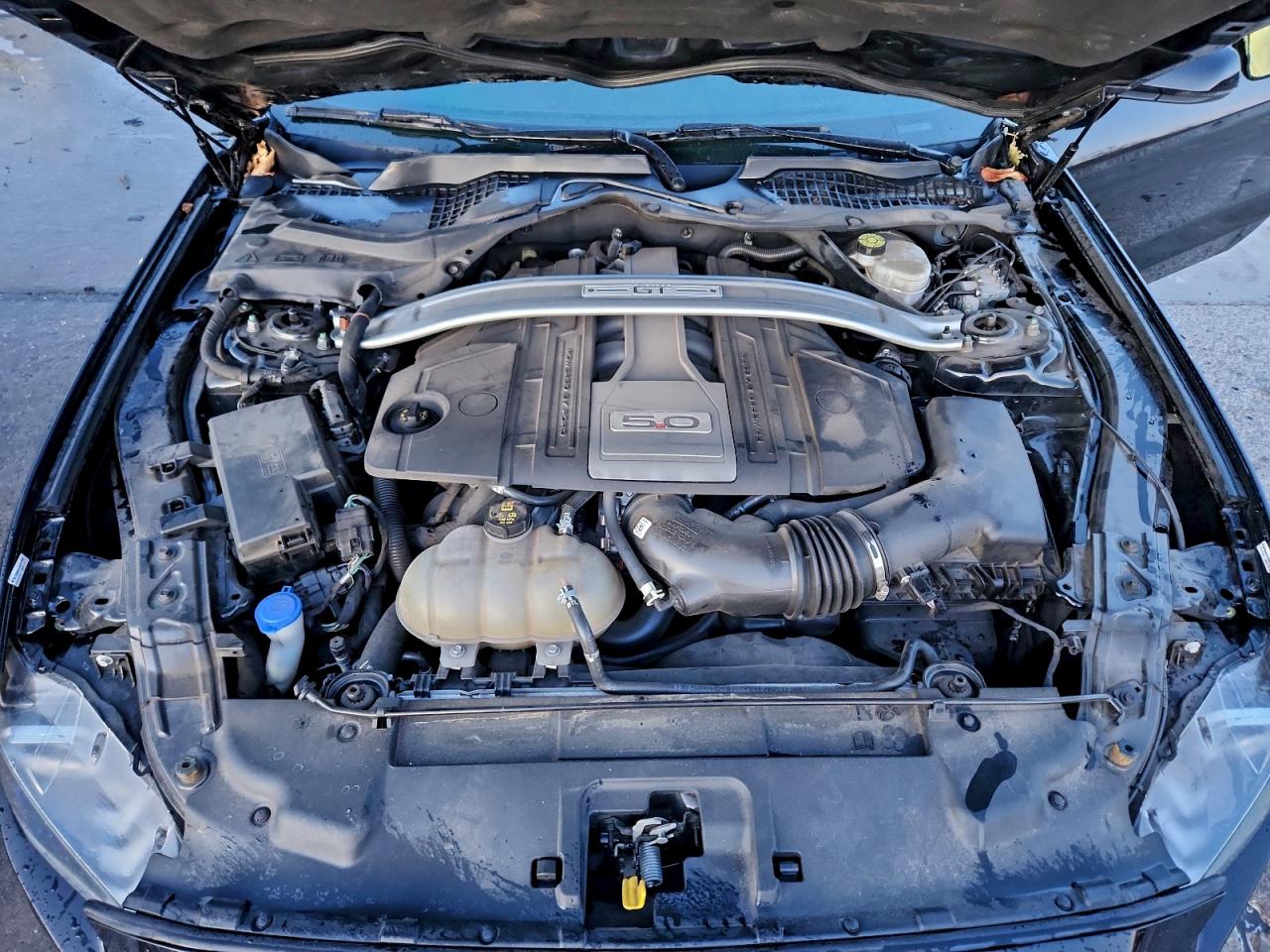 Ford Mustang Gt Image 8