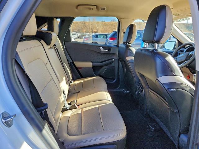 Ford Escape Sel Image 11