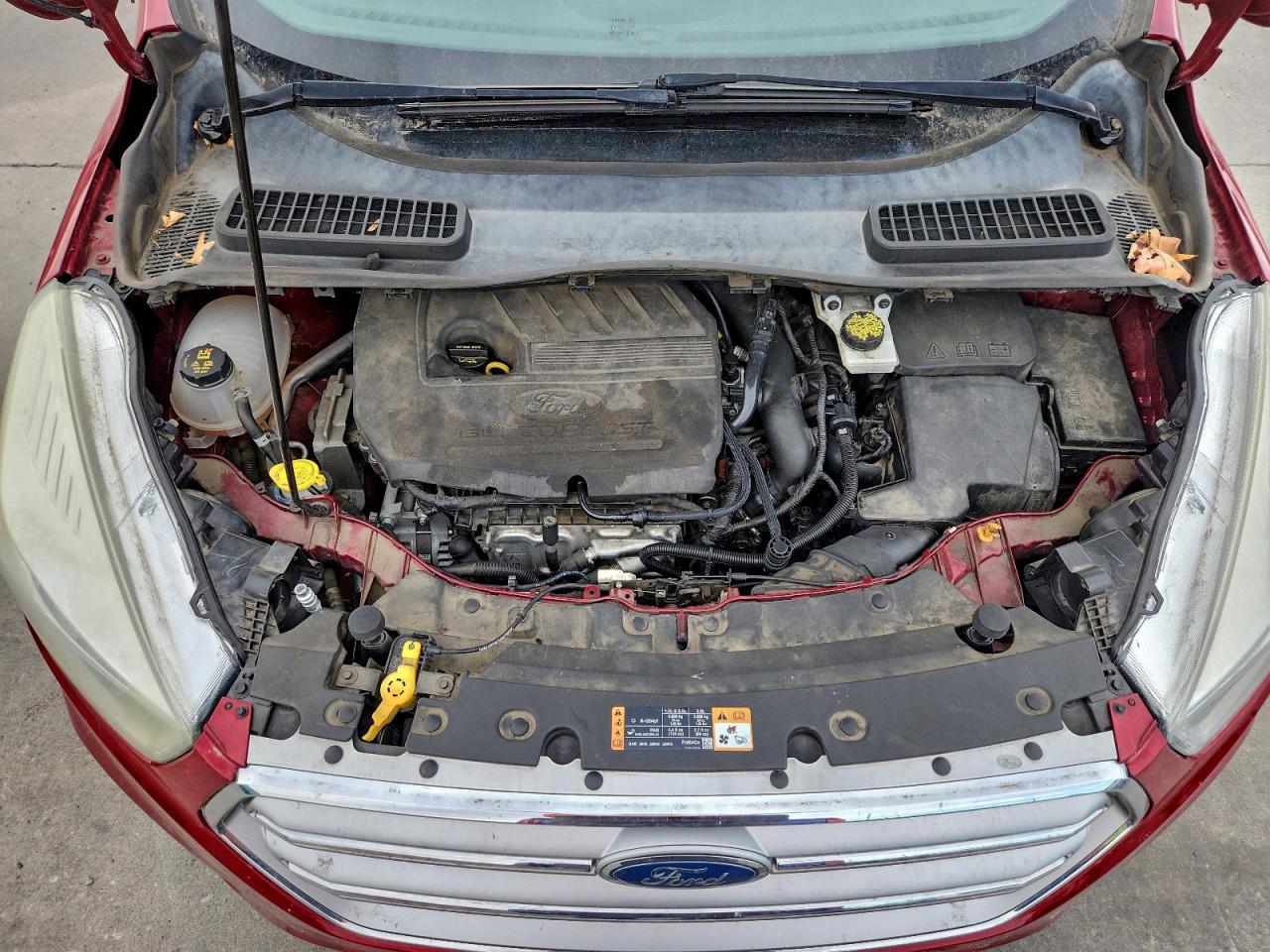 Ford Escape Se Image 11