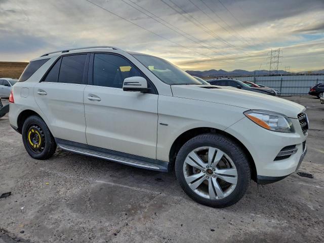 Mercedes-Benz M-Class 350 Bluetec Image 2