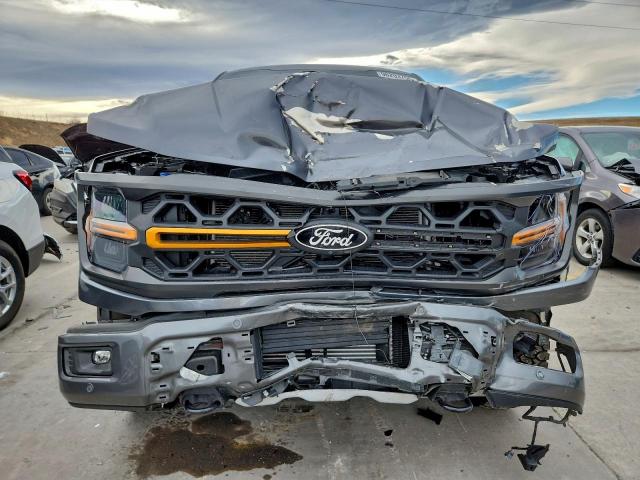 Ford F-150 Tremor Image 12