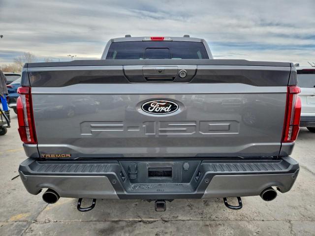 Ford F-150 Tremor Image 6