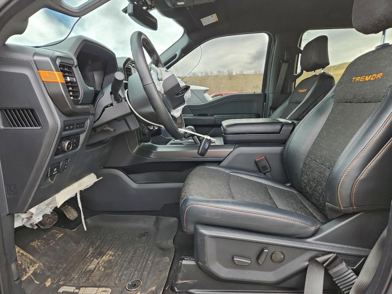 Ford F-150 Tremor Image 10