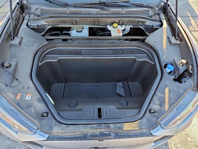 Ford Mustang Select Image 8