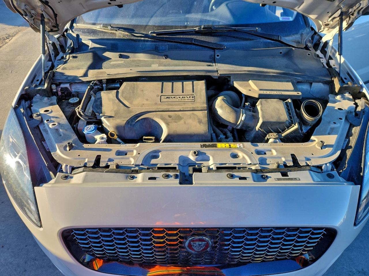 Jaguar Etype S Image 5