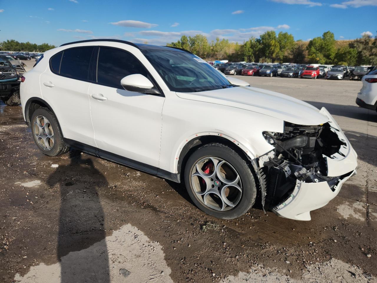 Alfa Romeo Stelvio Ti Sport Image 14