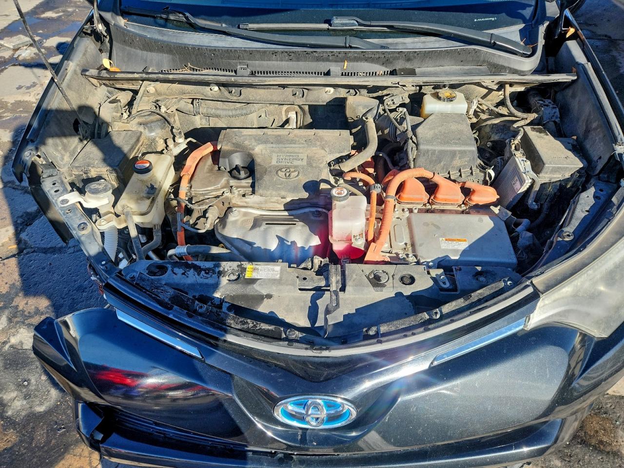 Toyota RAV4 Xle Image 5