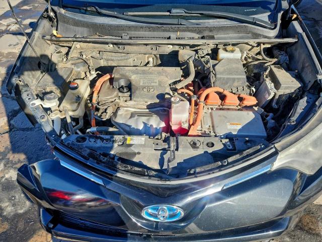 Toyota RAV4 Xle Image 5